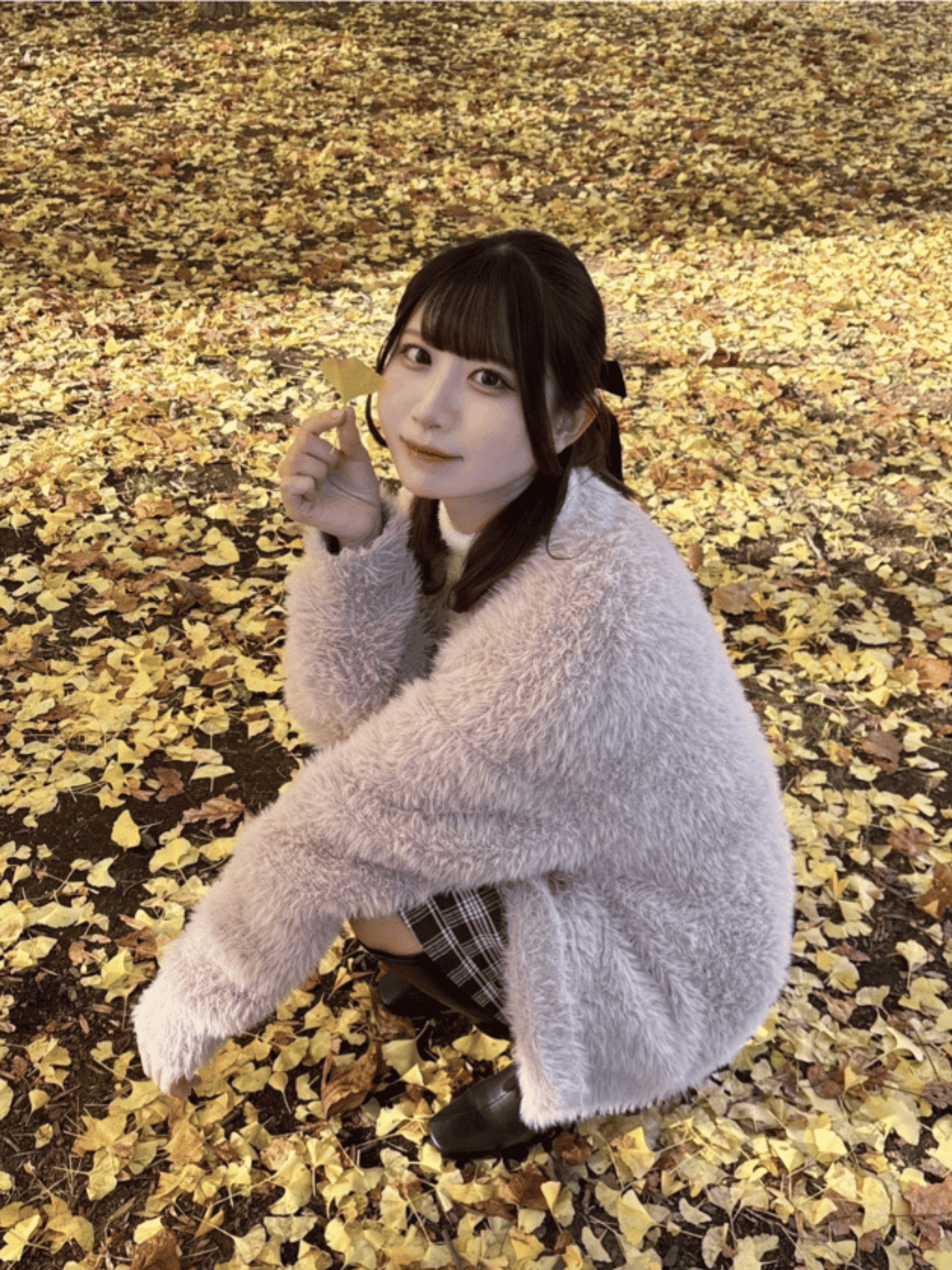 白川 ありす（）写真