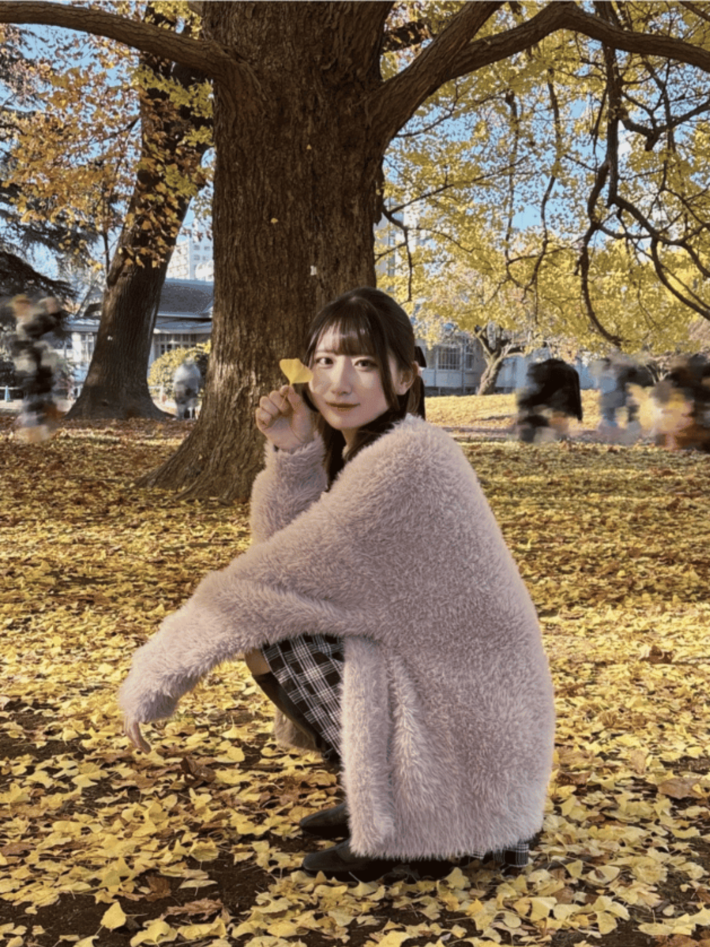 白川 ありす（）写真